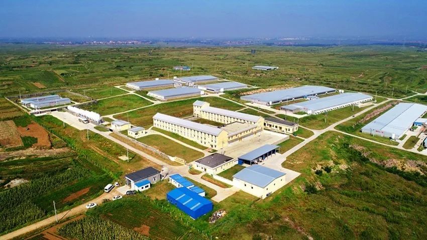 尊龙时凯·(中国)人生就是搏!